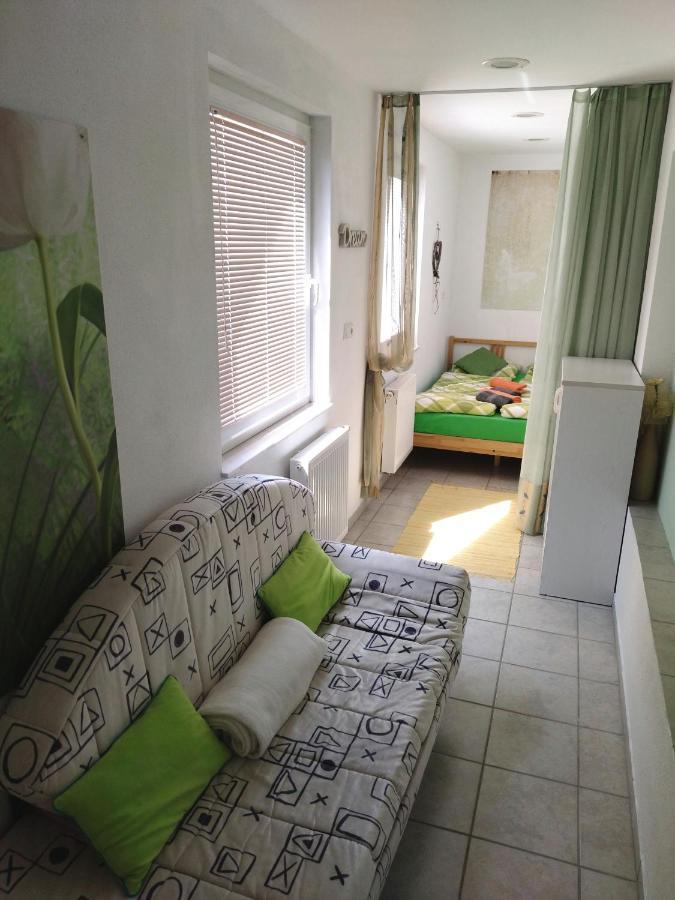 Apartma Peter1A Begunje na Gorenjskem Ngoại thất bức ảnh